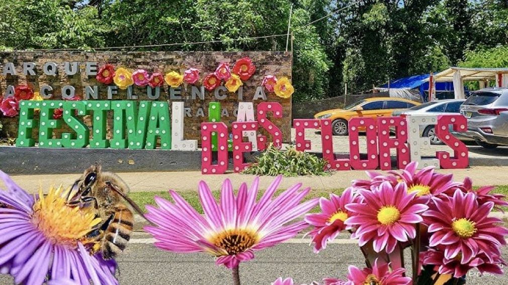 Jarabacoa celebra los 15 años del Festival de las Flores con una edición histórica. Imagen: La Vida del Campo en Familia.