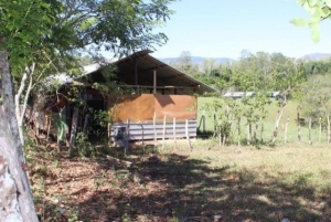 Denuncian estudiantes reciben clases en corral de vacas, en Jarabacoa. 