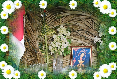 Inician patronales De La Virgen De La Altagracia en Arroyo Toro: 
