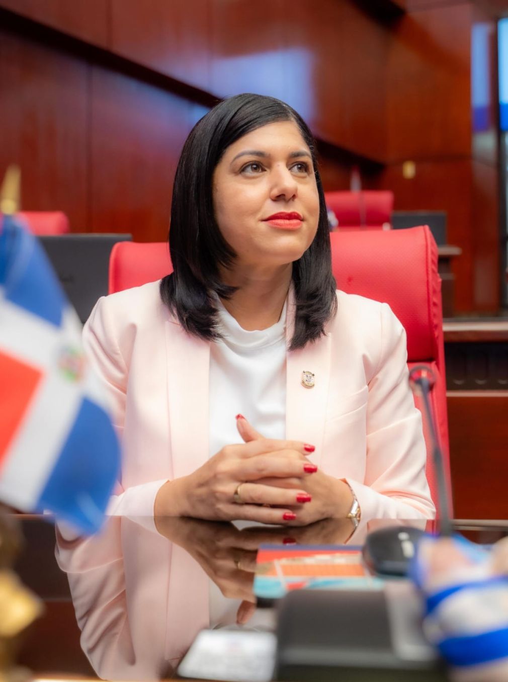 La normativa fue presentada por la senadora de la provincia Hermanas Mirabal, Mercedes Ortiz.