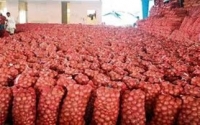 Productores de cebollas de Vallejuelo piden al gobierno cumplir promesa