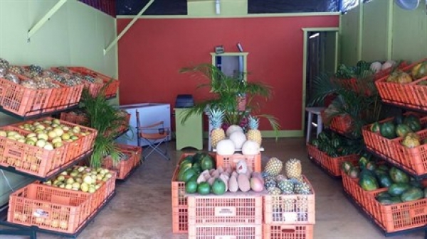 Inauguran establecimiento "On Fruits Dominicana" en Ocoa: 