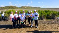 Reforestan 3 mil manglares rojos en Baní.