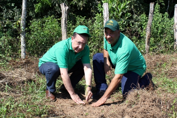 Bautista Rojas Gómez, ministro de Medio Ambiente y Héctor Valdez Albizu, gobernador del Banco Central y empleados de la entidad financiera encabezan jornada reforestación en Bonao