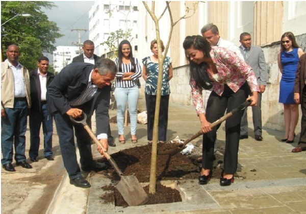 Arborizan entorno del Palacio de Justicia de Ciudad Nueva