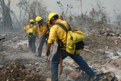 Ministerio de Medio Ambiente extingue dos fuegos en La Vega:  