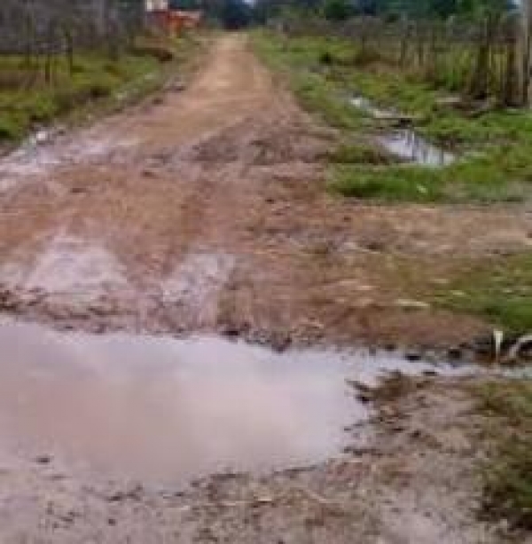 En Angelina residentes piden arreglo de calles y energía eléctrica