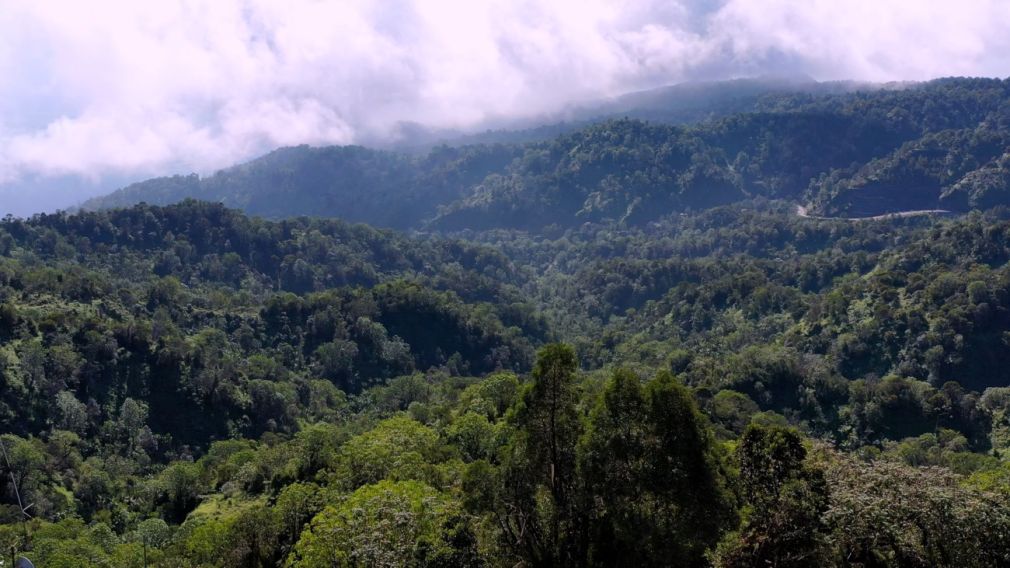 Medio Ambiente completa proceso de socialización proyecto Reserva de Biosfera Madre de las Aguas.