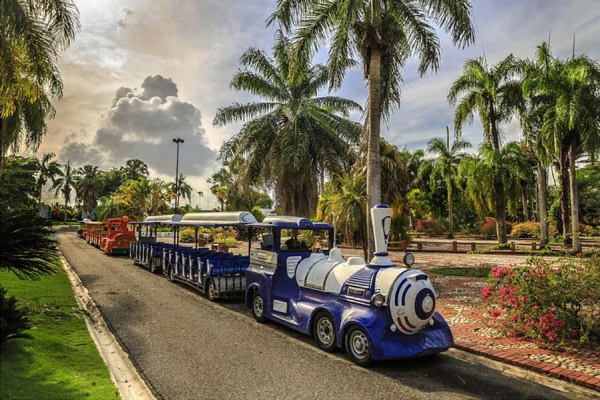 Estampa del trensito del Jardín Botánico de Santo Domingo.