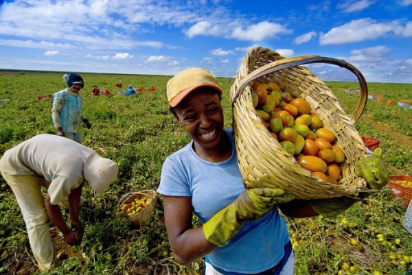 Agricultores