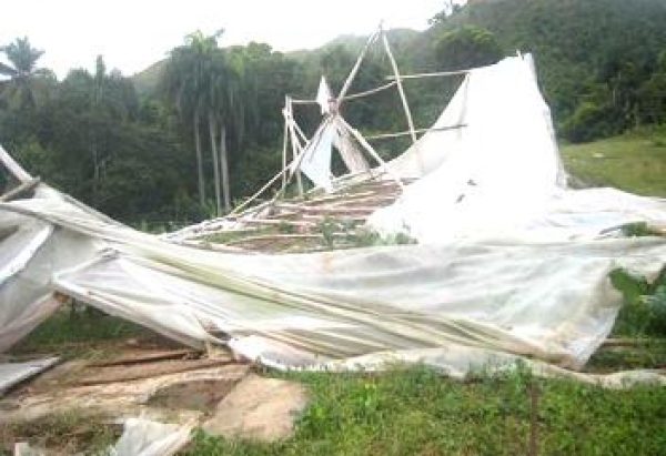 Agricultores cuantifican pérdidas dejadas por tormenta Isaac en San Juan de la Maguana