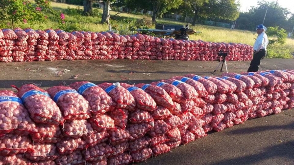 Decomisan 45 sacos de ajos y 75 cajas de Suero Medicinal en la Bahía de Manzanillo