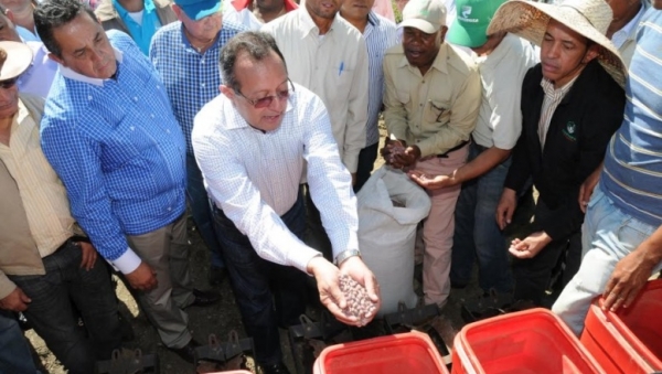 Agricultura inicia cosecha de maíz hibrido en Valle San Juan :