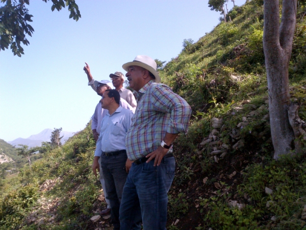 Gobierno planta árboles en Sabaneta y La Maguana