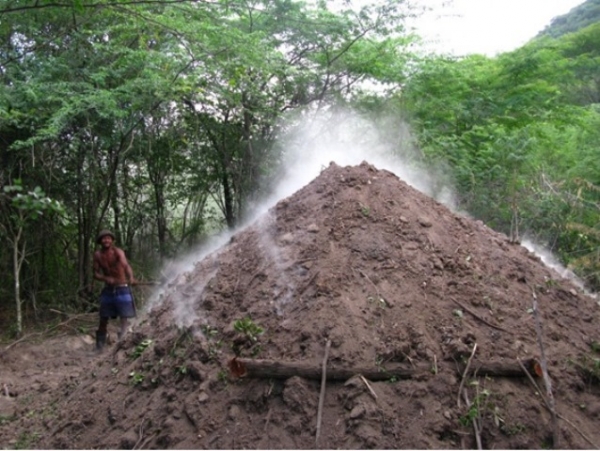 Sociedad Ecológica del Cibao denuncia aumento depredación en el Noroeste: 