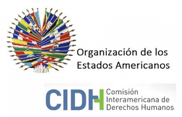CIDH condena sentencia del Tribunal Constitucional dominicano