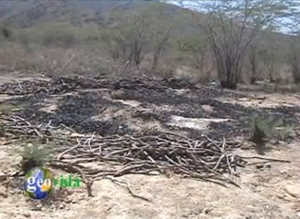 Muestra de como están dejando los productores de carbón el medioambiente de la zona sur del Lago Enriquillo.