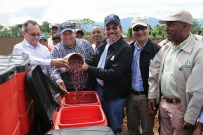 Agricultura inicia la siembra masiva de habichuelas en El Valle de San Juan
