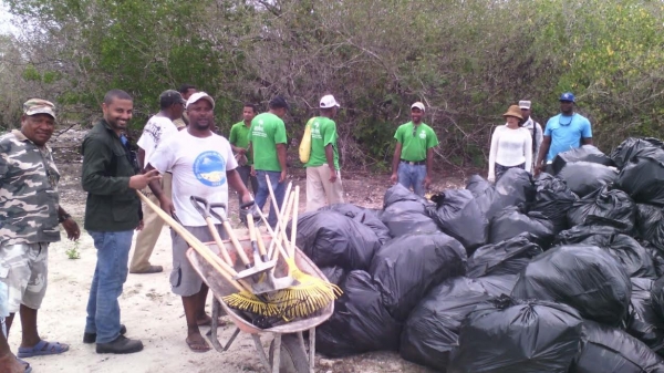 Continúa recogida desechos sólidos en Isla Saona: