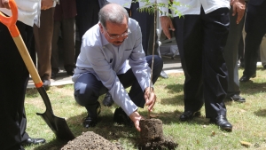 Presidente Medina siembra árbol
