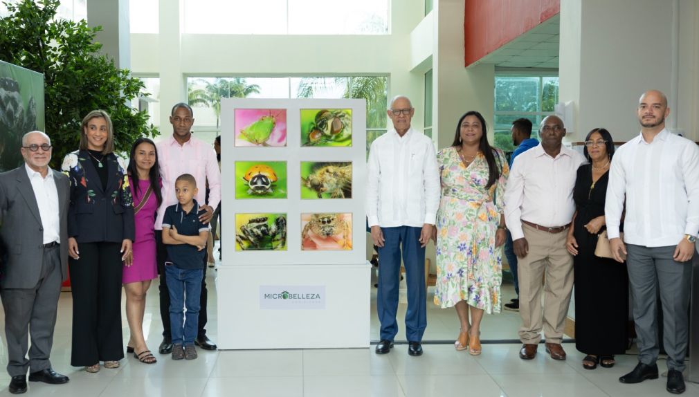 La exposición muestra varios insectos de cerca mediante la técnica fotográfica de microbelleza.