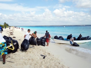 Realizan jornada de limpieza del litoral de la isla Catalina