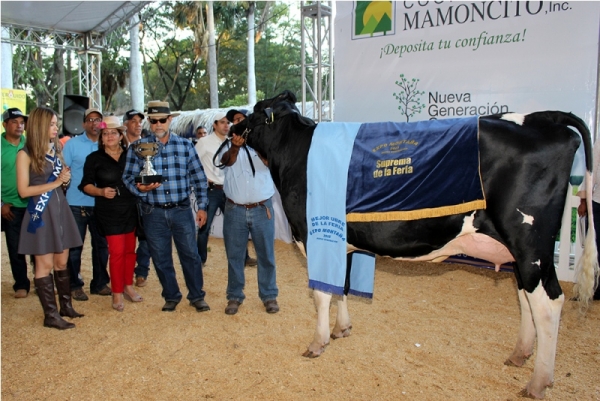 Con ganaderos de todo el país realizan exposición bovinos : 