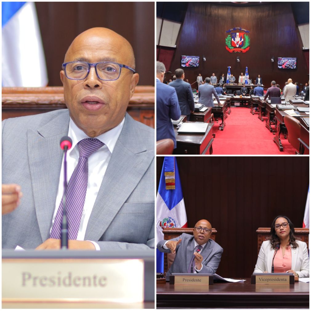 Los diputados aprobaron un grupo de resoluciones.