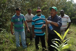 Parte de los empleados del Jardin Botánico Nacional con plantas en manos para comenzar la jornada de reforestación de más de dos mil plantas, en Gonzalo, Monte Planta. 