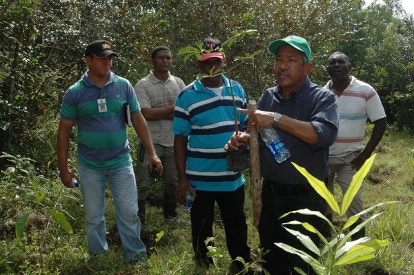 Parte de los empleados del Jardin Botánico Nacional con plantas en manos para comenzar la jornada de reforestación de más de dos mil plantas, en Gonzalo, Monte Planta.