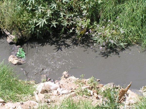 Aguas residuales producen contaminación en Dajabón