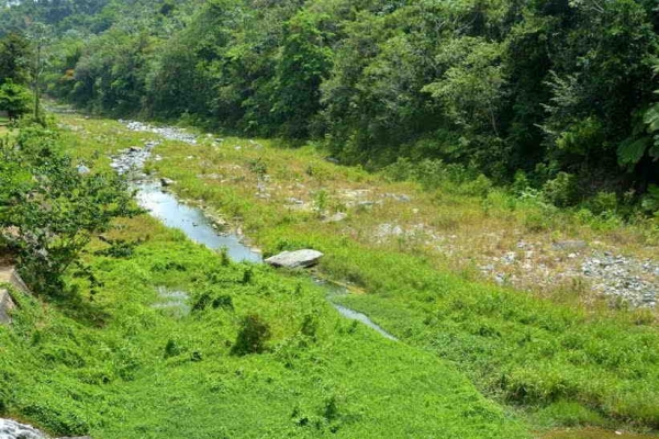 CAASD tiene un déficit en producción de agua de 122 millones de galones al día