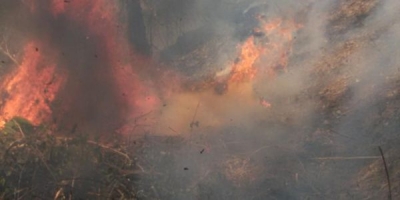 Incendio en Cerro Chacuey amenaza con extenderse a comunidades de Partido: 