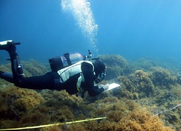 Hombre analizadon el fondo marino