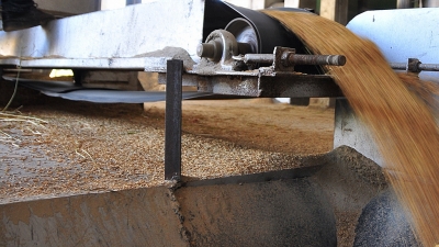 Factoría de arroz retoma su producción luego de seis años cerrada