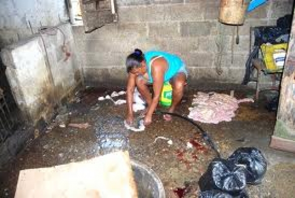 Sacrifican animales fuera de matadero en Dajabón