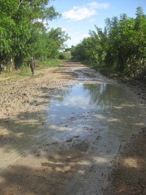 Los caminos son inaccesibles en las zonas cañeras Zona cañera de la sección Mata de Palma, El Seibo.