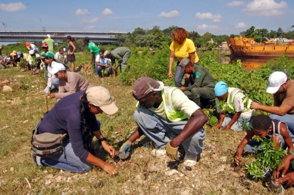 Brigadas de hombres, mujeres y niños, plantan árboles en la margén del río Isabela, sector la Zurza municipio Santo Domingo Norte 
