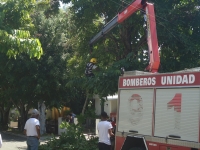 Operativo Ayuntamientos Solidarios llega al municipio de Moca