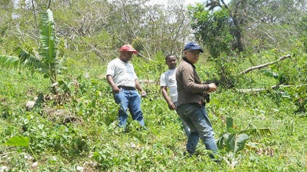 Reforestan cuencas de ríos en Polo