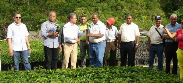 Caficultores