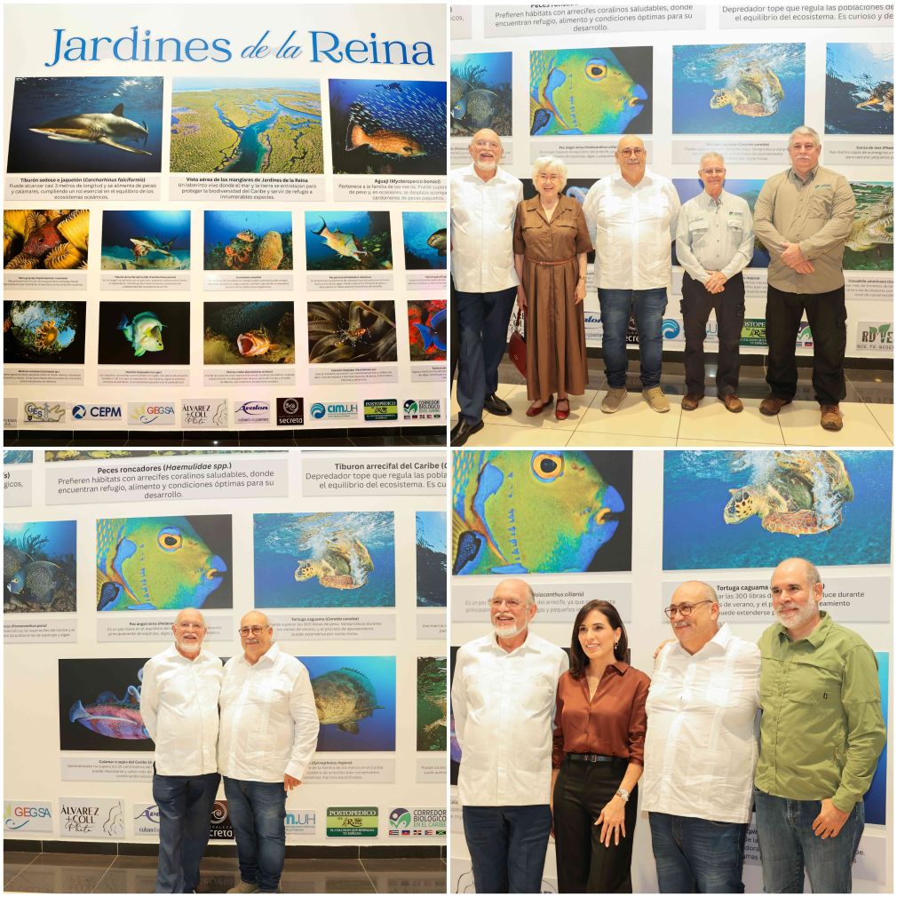 La exposición se encuentra en Galería 360 y estará disponible hasta el mes de febrero.