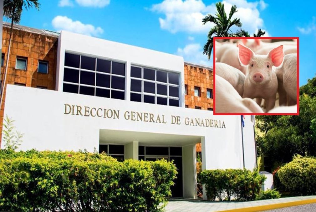 DIGEGA asegura mercado español no impacta en gran medida a RD.