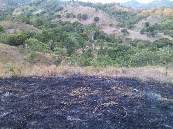 Ministerio de Medio Ambiente investiga quema de tareas de tierra en Pedernales