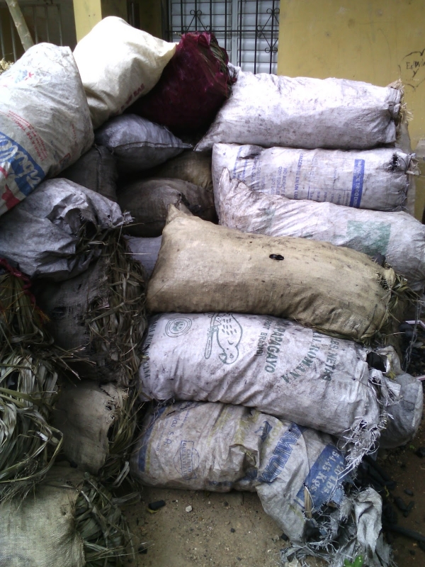 Ministerio Medio Ambiente incauta 43 sacos de carbón:  