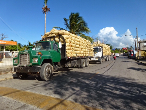 Detienen camión por violar disposición Semana Santa