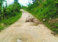 Moradores claman por arreglo de calle en Salcedo:  