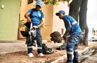 Fueron retirados varios vehículos en condición de chatarra.