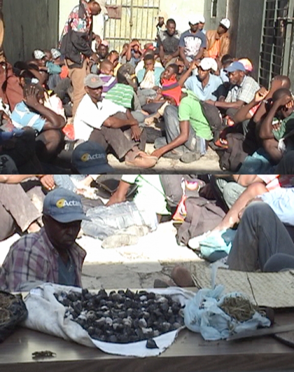 Arriba parte de los haitianos detenidos viajando ilegalmente. Abajo parte de la droga encontrada en el autobús donde viajaban los haitianos ilegales.