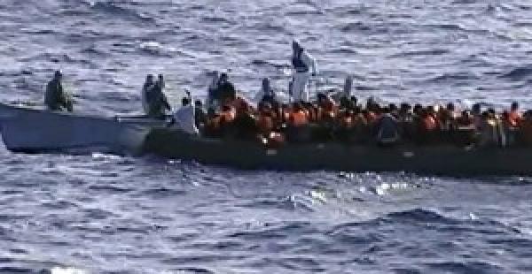 Detienen grupo viajaría ilegal Puerto Rico: